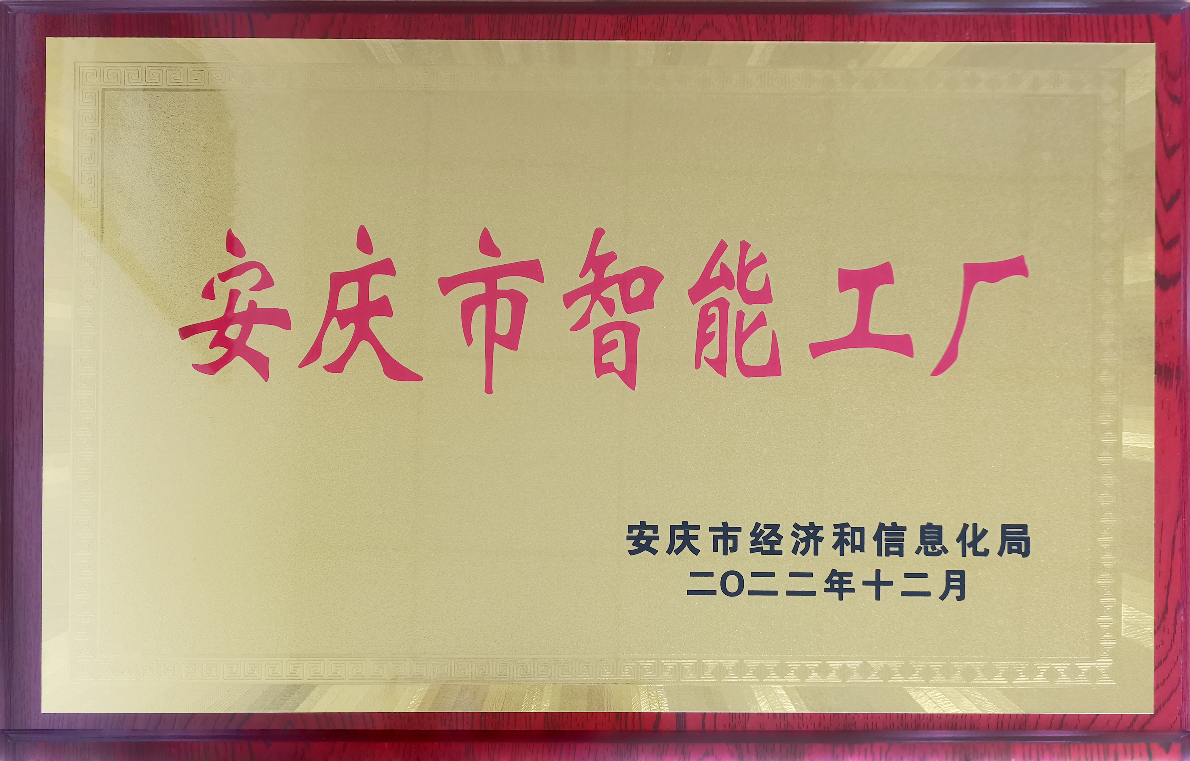 安慶市智能工廠.jpg