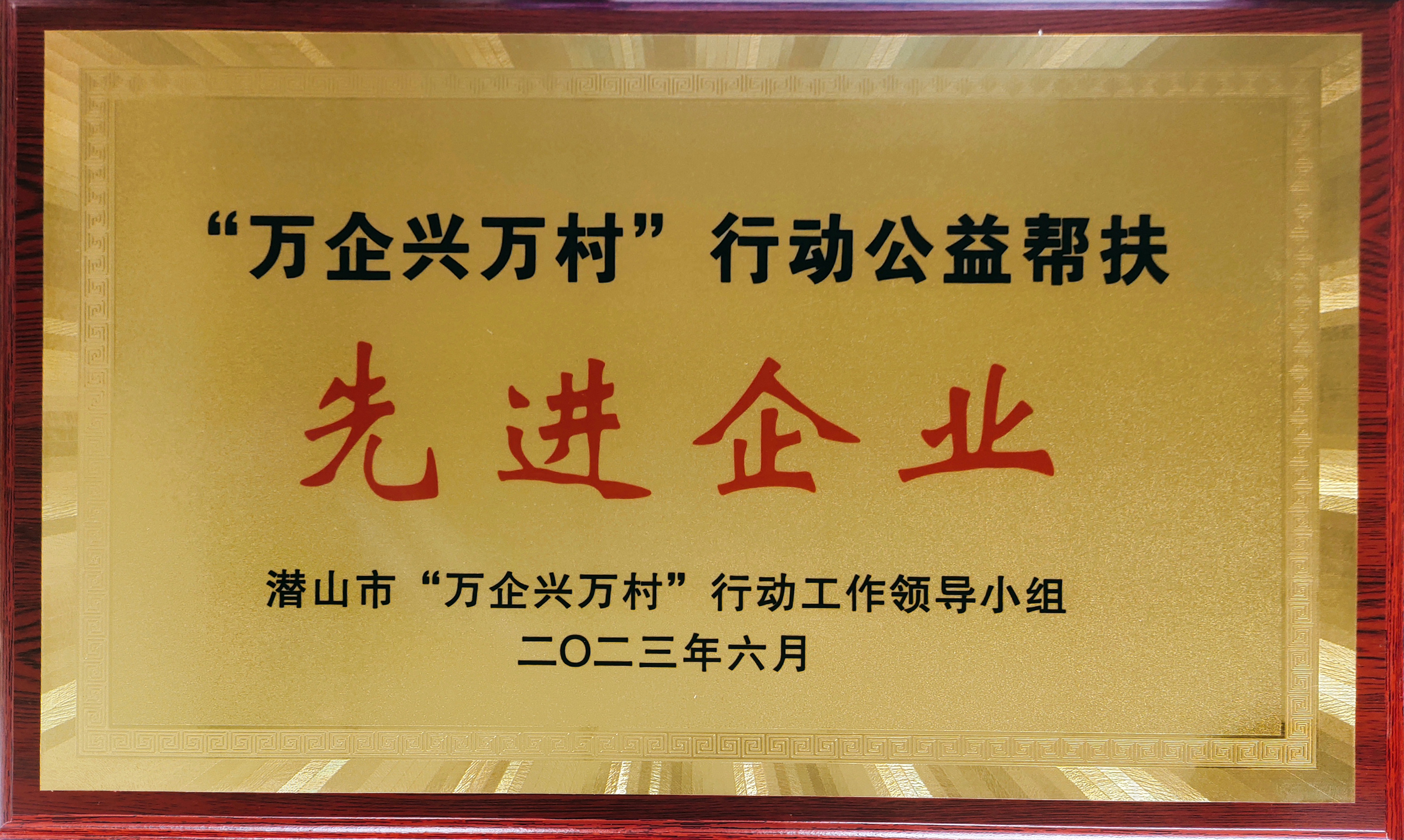 先進(jìn)企業(yè).jpg